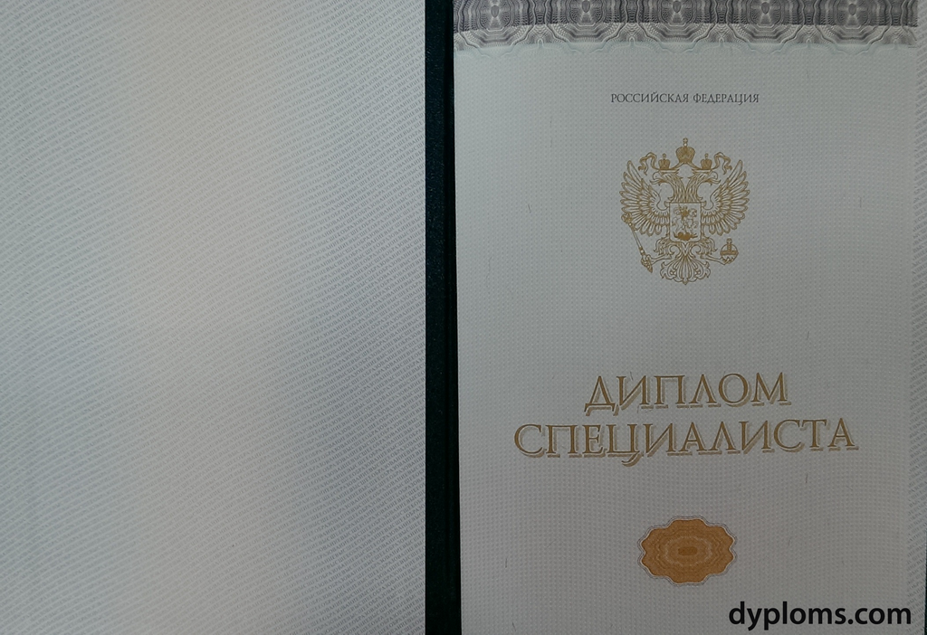 Купить диплом института без предоплаты — Ваш путь к успеху